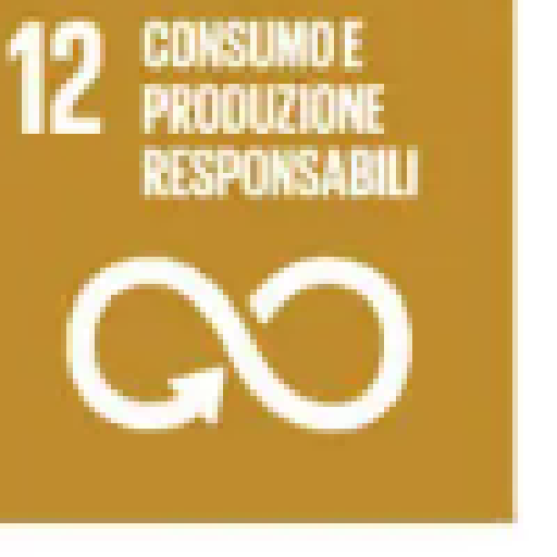 SDG 12 Responsible Consumption and Production
