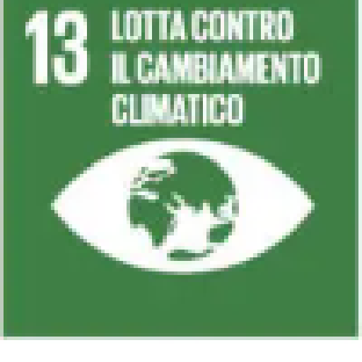 SDG 13 Climate Action